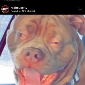 Meet your Posher, Adeem